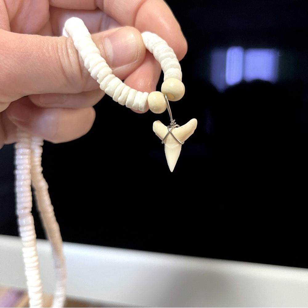Real Baby Shark Tooth 🦷 🐚 Necklace Bull Shark Tooth Natural Shell